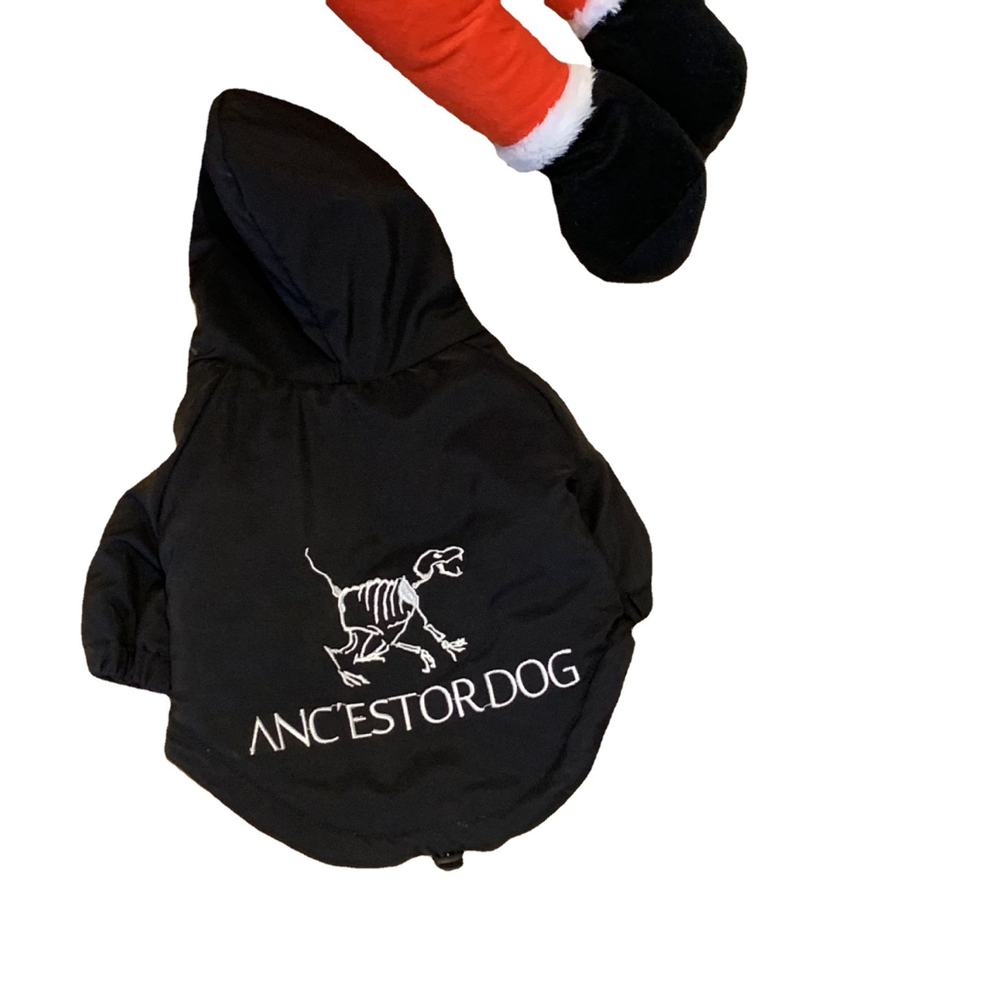 Thickened Cotton Clothing for Autumn and Winter